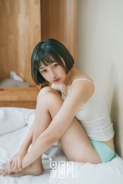 电视剧王的女人